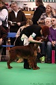 Crufts2011 276